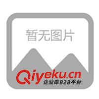 供應(yīng)街頭籃球 投籃機游戲 娃娃機 大型游藝設(shè)備(圖)